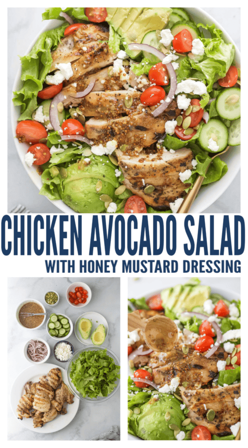 chicken avocado salad pinterest images