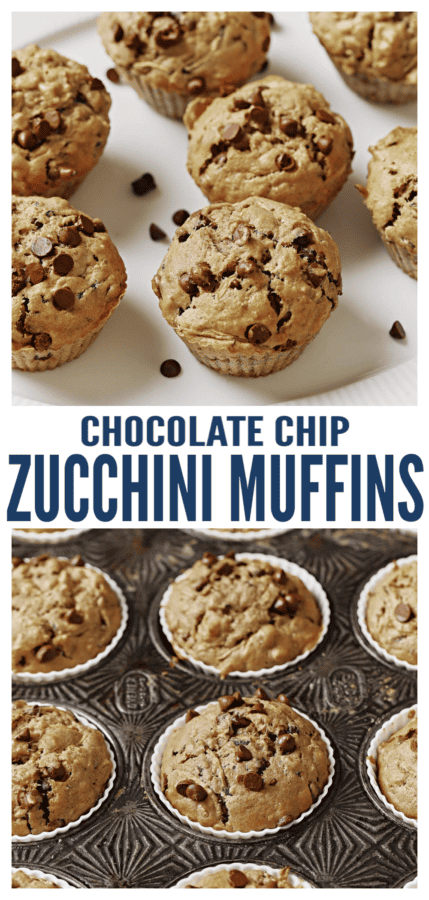 pinterest image for Zucchini Chocolate Chip Muffins