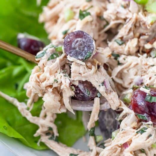 Closeup of Waldorf chicken salad
