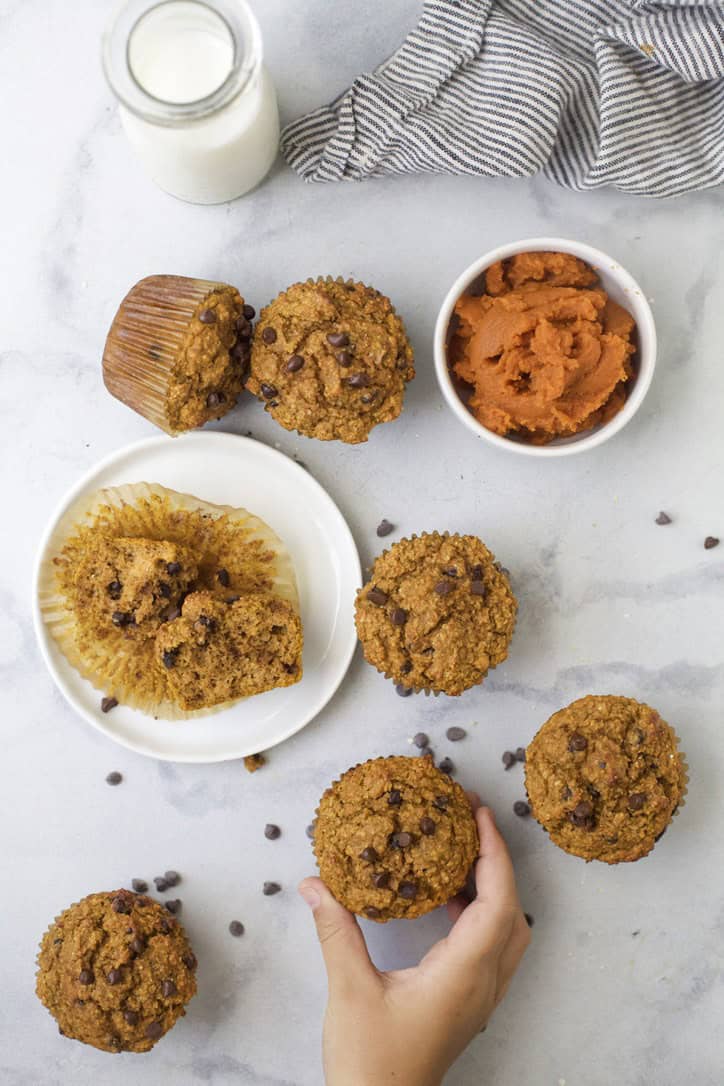 Hand grabbing chocolate chip pumpkin protein muffin from marble countertop.